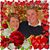 Karen Dennis's profile image