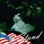 Susan Land's profile image