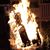 Jason Leonard Scianno's profile image