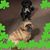 Juanita Suarez Riepensell's profile image