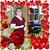 Sherie Marquette-Wiley's profile image