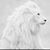 Luis Moreno Fernandez's profile image