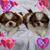 Deb Burlew's profile image
