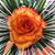 Kathleen Guist-Hinrichs's profile image