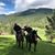 Cody Abatie's profile image
