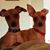 Kay Kracht Wetzler's profile image