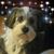 Karyse Phillips's profile image