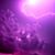 Melli Mastro DeSetto's profile image