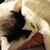 Debbie Laskiewicz's profile image