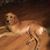 Kenny Harrison's profile image