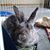 Pamela Jean Griffin's profile image