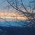 Vicki Robey's profile image