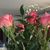 Sunny E. Harting's profile image