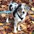 Carrie Roberts's profile image