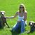Brooke Werner Toner's profile image