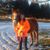 Sueanne Peterson's profile image