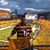 Rudy Flores's profile image