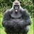 Penelope Shepard-Engler's profile image