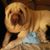 Toni Ann Scott's profile image