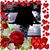 Patricia Johnson Wright's profile image