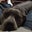 Cory Peterson's profile image