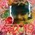Jonathan Aguilar's profile image