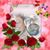 Teresa Lynn Young's profile image