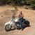 Dawn Mattox's profile image