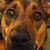 Regina Peterson's profile image