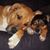 Maryann McNamee Hickey's profile image