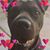 Cindy Casey's profile image