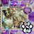 Mary Brucci's profile image