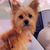 Donna Whiteside's profile image