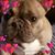 Susanna Martinez's profile image