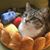 Kim Chase-Kozak's profile image