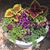 Mary Whitsett's profile image