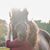 Hannah Martin's profile image