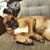 Manish R. Patel's profile image