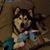 Kim Guaracha's profile image