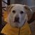 Nancy Nieradka's profile image