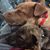 John N Shirley Hasenauer's profile image