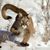 Ted Jelson's profile image