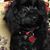 Anita Welty's profile image
