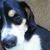Patricia Miller's profile image