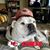 Sean M. Krangle's profile image