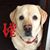 Cindy Hearst Wittich's profile image
