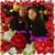 Lisa Manalo's profile image