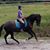 Daina Spisak's profile image