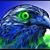 Matt Huyter's profile image