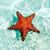 Patti Kramer's profile image